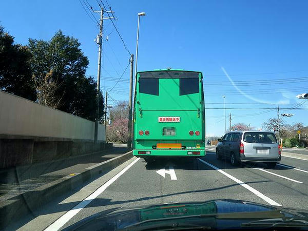 馬運車と一緒に走る