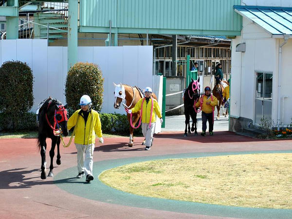装鞍所からは道路を渡って