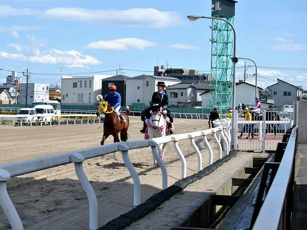 馬場入り