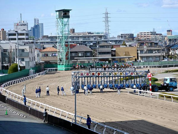 第6レース（1400m）のスターティングゲート設営