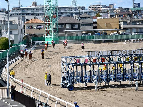 第6レースのスタート地点に向かう競走馬