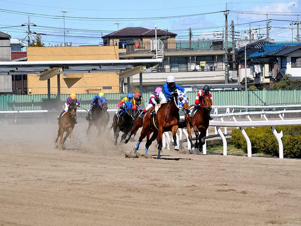 最終コーナーを走る競走馬