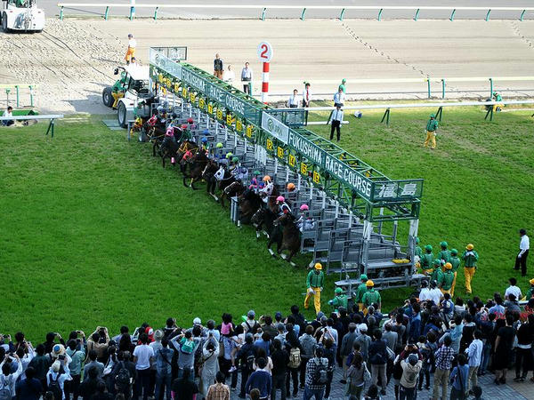 福島牝馬ステークスのスタート