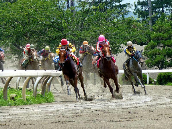 最終コーナーを回る競走馬