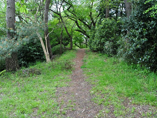 本丸土塁？