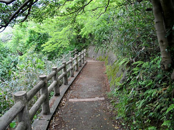 池の端濠（西外堀）へと続く小径