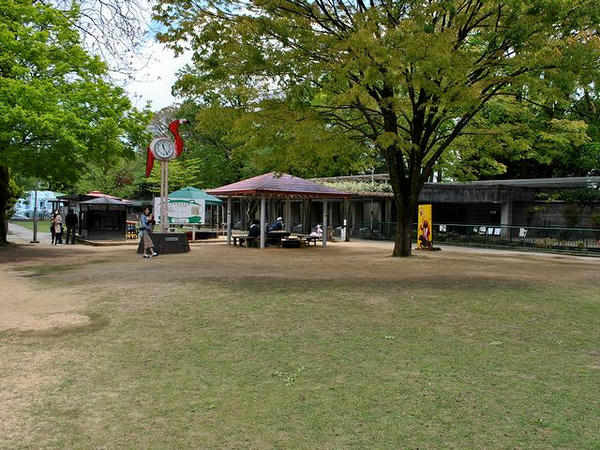 園内の様子（自然博物館側から）