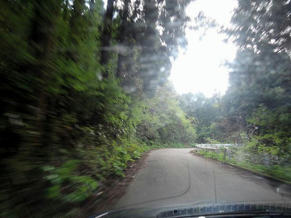 途中の山道