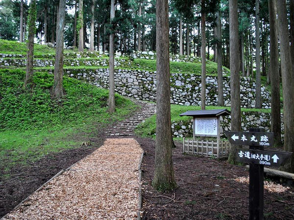 調度丸過ぎの石垣