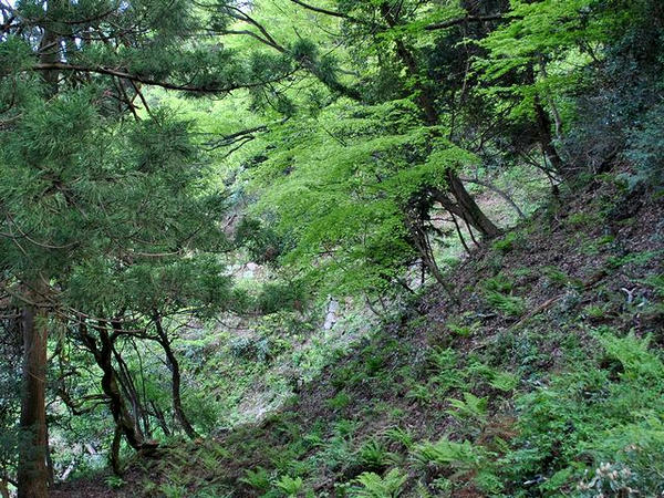 二の丸と三の丸の間の通路から見える石垣