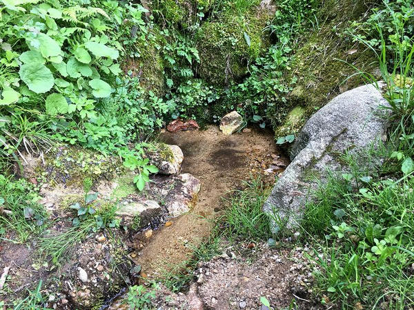 樋（とよ）の水