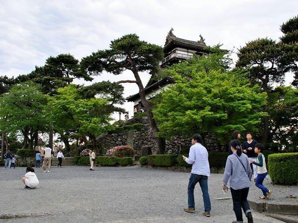 丸岡城本丸と天守