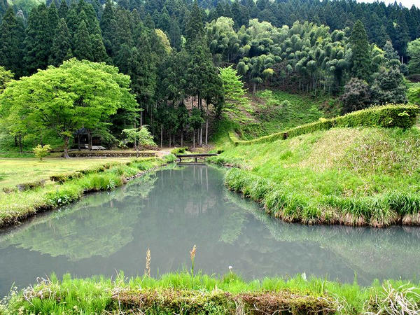 朝倉氏館跡の堀と土塁その(1)