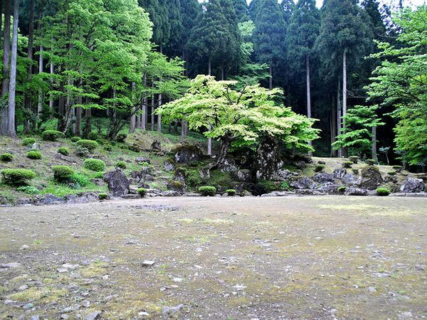 諏訪館跡