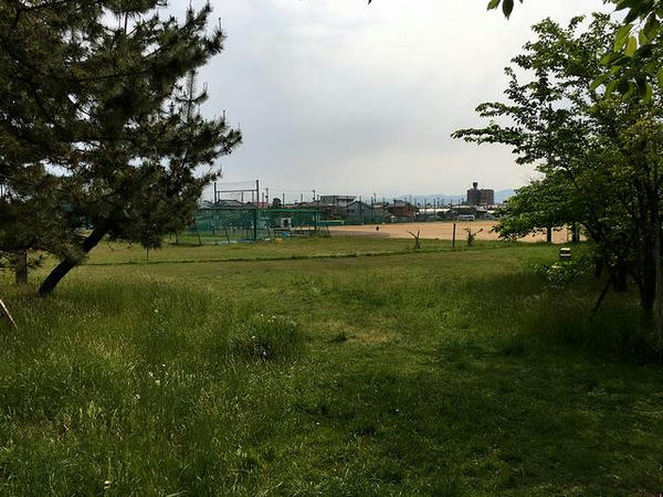 本丸から旧二の丸方向を望む