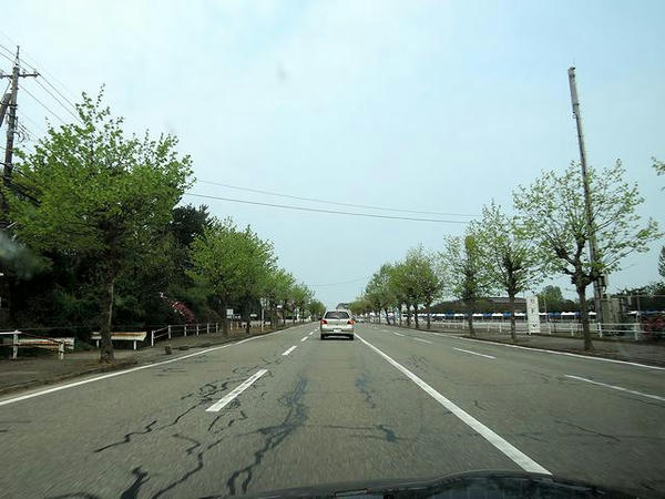 競馬場付近の一般道
