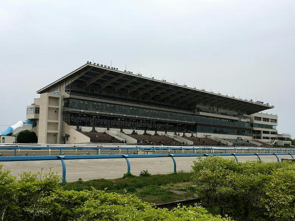 馬場内から見たスタンド