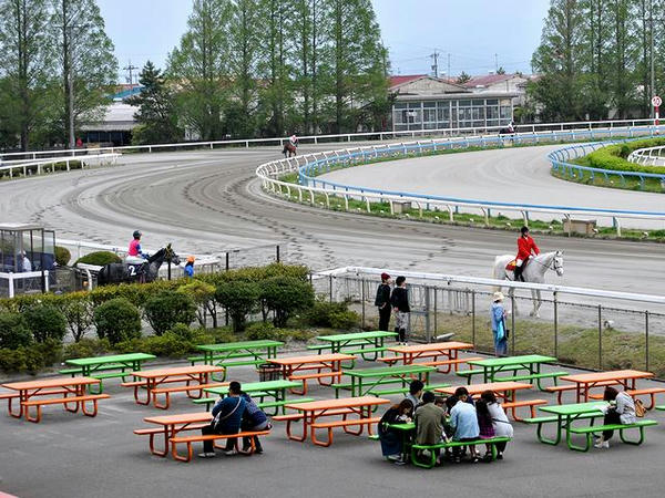 馬場入りする競走馬（第5レース）