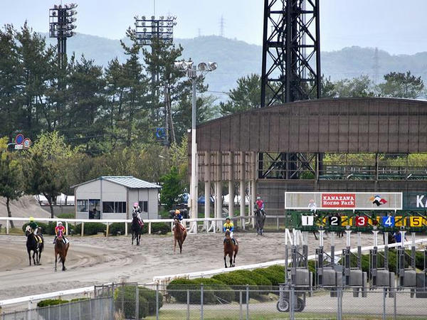 待機所からゲート裏に移動する競走馬（第5レース）