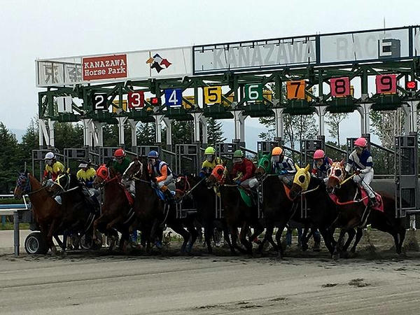 発馬する競走馬