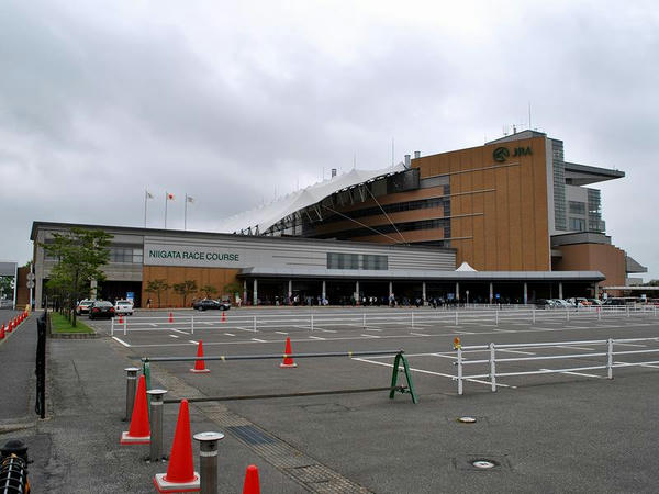 駐車場から見た新潟競馬場