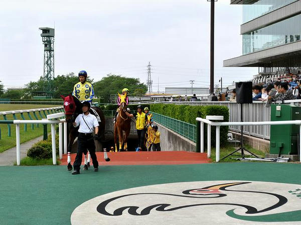 第4レースの馬場入り