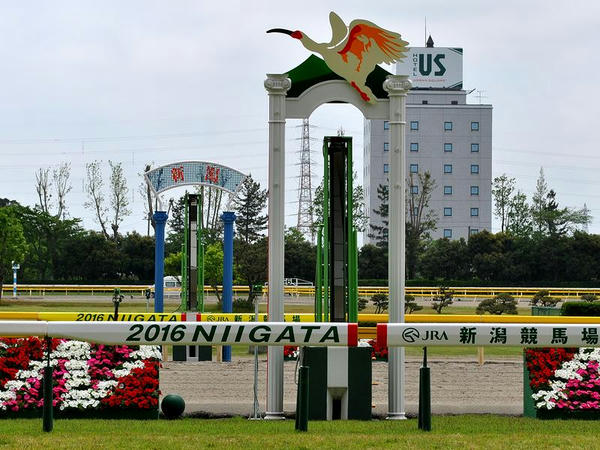 新潟競馬場のゴール板