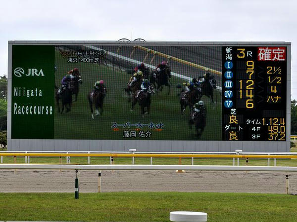 新潟競馬場のターフビジョン