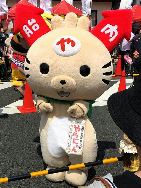 やらにゃん（新潟県胎内市）さん