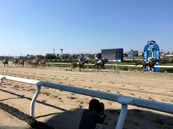 第8レースのゴール