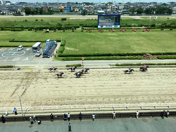 5階から見た最後の直線