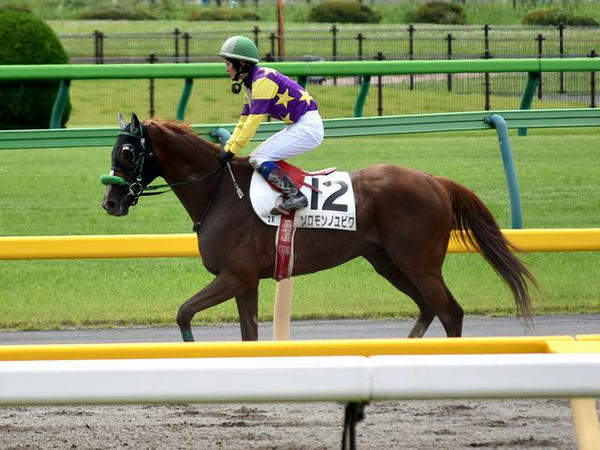 第3レースで馬場入りする藤田騎手