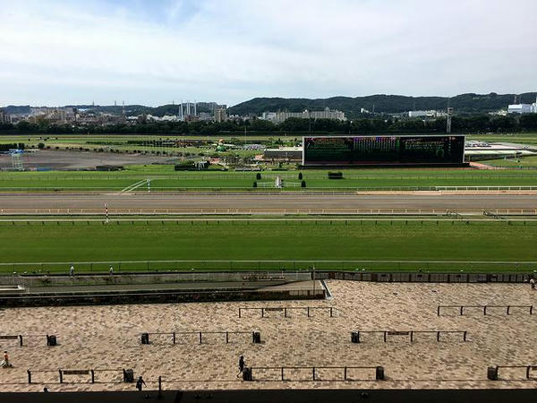 今回の席からの風景
