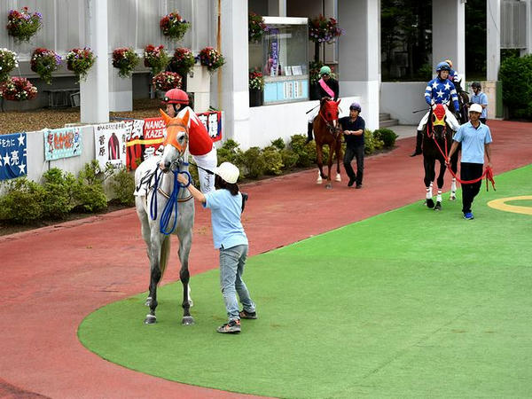 第4レースのパドックの様子
