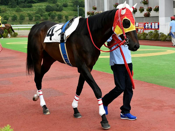 第4レースのパドックを周回するビュレットライナー号