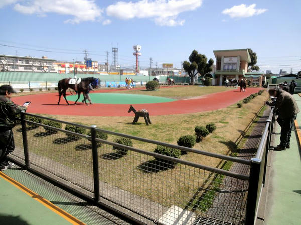 パドック