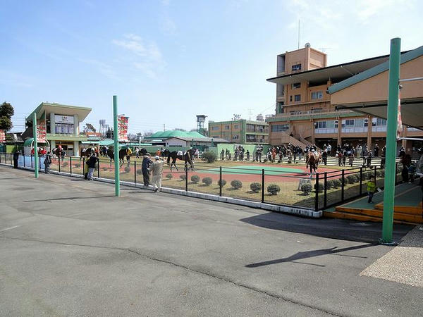 別方向から見たパドック