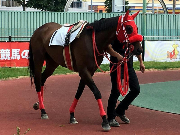 第1レースのパドックを周回するラブミーロード号