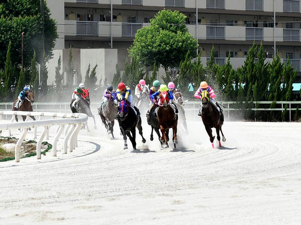 最終コーナーを回る競走馬（第2レース）