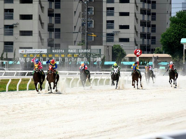 最終コーナーから最後の直線に入ったところ（第3レース）