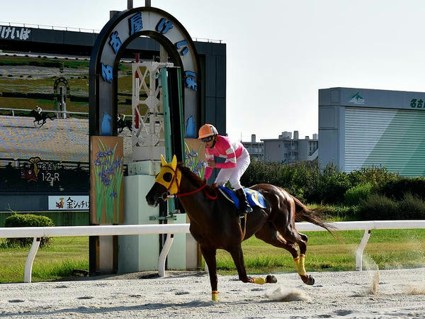 1位入線する岡部騎手（第12レース）