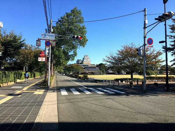 白鷺中学校東側の通り
