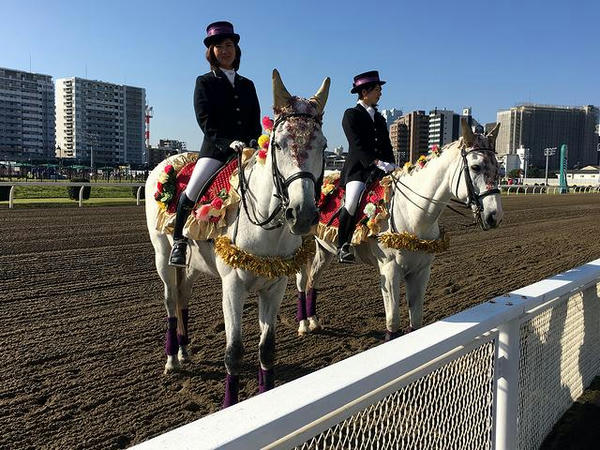 誘導馬のお出迎え
