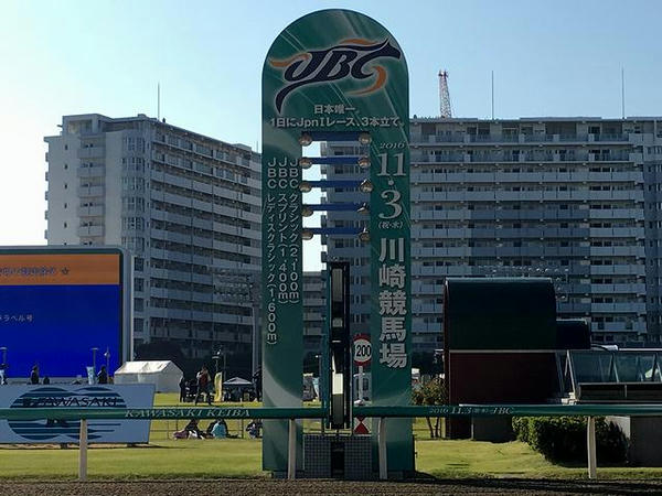 誘導馬のお出迎え