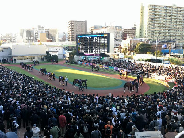 JCBクラシックのパドック