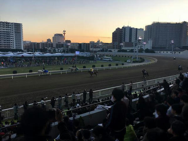 JBCクラシックの馬場入り