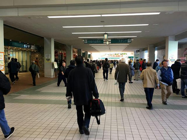 みどりの広場付近
