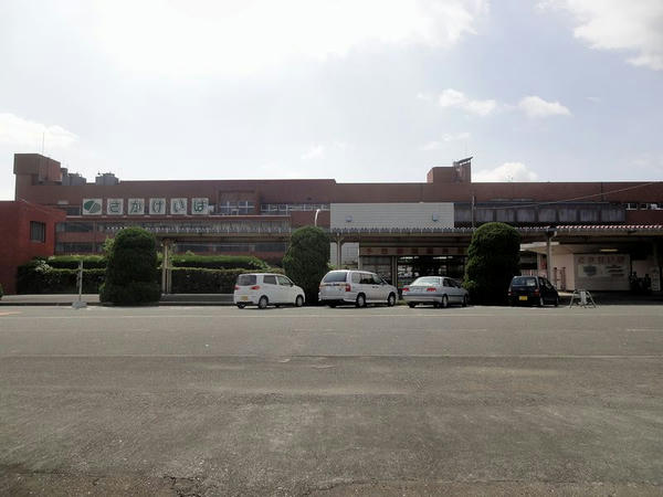 駐車場から見た競馬場