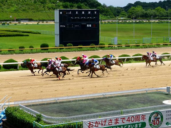 スタート直後の競走馬