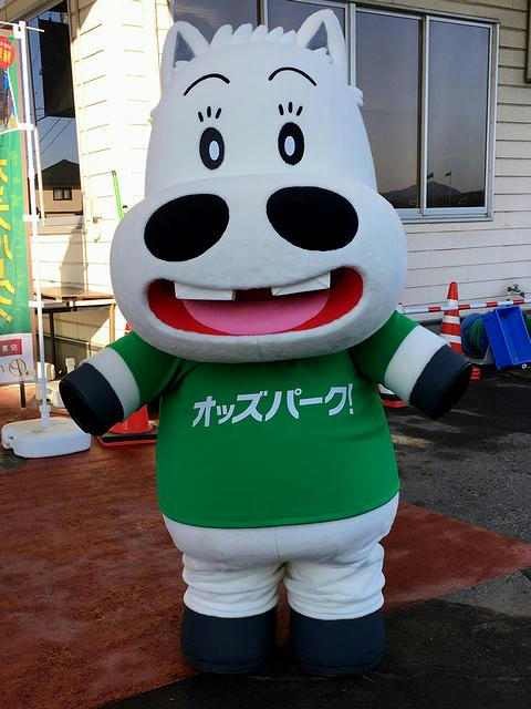ミドリマキバオーさんのお出迎え